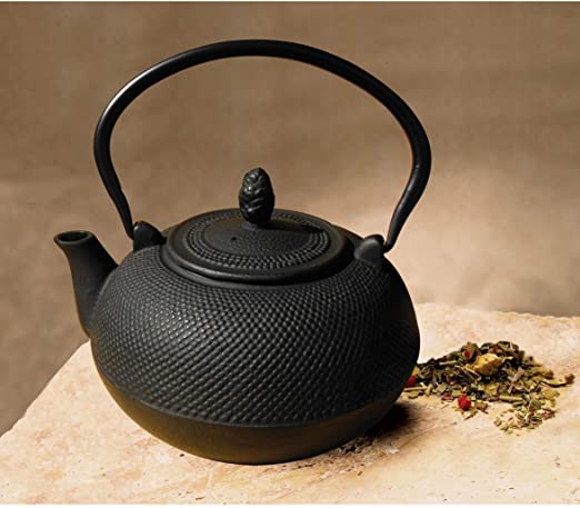 Iron 3-Liter 'Hakone' Teapot/Wood Stove Humidifier Black Metal