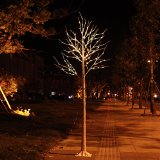 Rainleaf 8 Ft Christmas LED Birch Tree 132 LEDs Ideal for Holiday Home Party Wedding IndoorOutdoor Decoration Flexible Branches for DIY Shapes 8-Feet Warm White Light