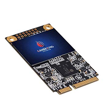 Gamerking SSD msata 64GB Internal Solid State Drive High Performance Hard Drive for Desktop Laptop SATA3 6Gb/s Mini PC (64GB, MSATA)