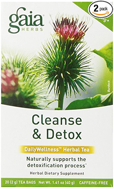 Gaia Herbs Cleanse & Detox Tea Bags, 20 Count (Pack of 2)