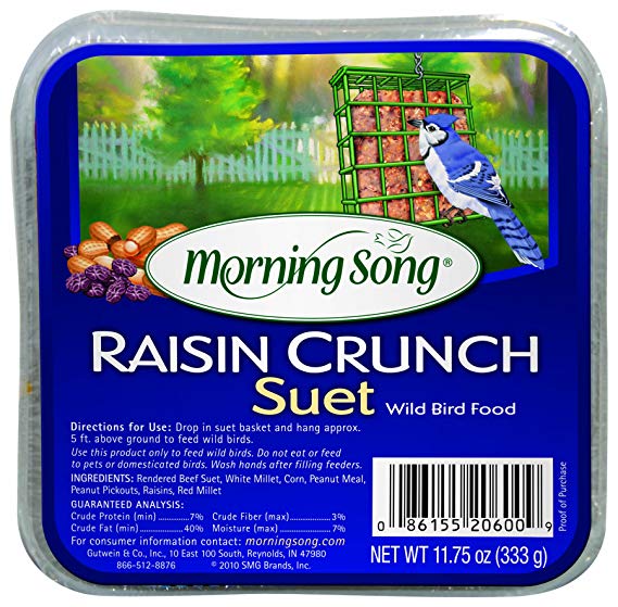 Morning Song 11436 Raisin Crunch Suet Wild Bird Food,  11.75 Ounce