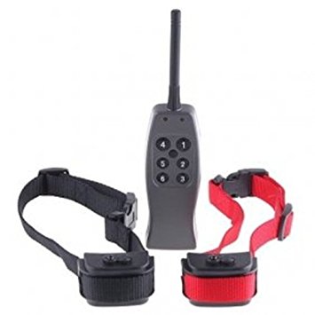 Rechargeable remote dog training shock and vibration collar for 2 dogs