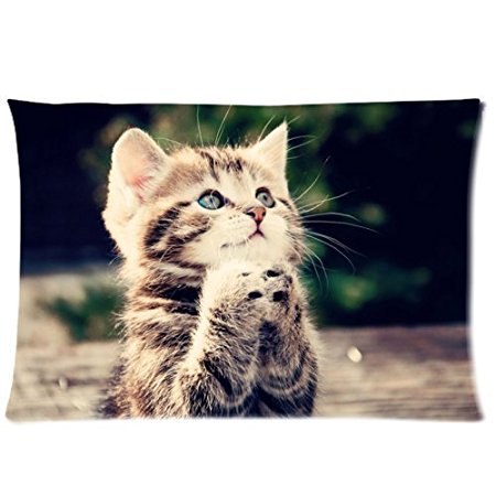 Animals Kitten Cat Two Sides Rectangle Zippered Pillowcase Pillow Cover 20x26 inches