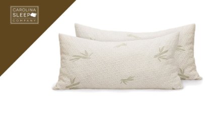 Carolina store bamboo pillows