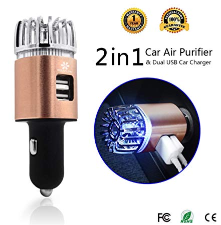 Exemplife Car Air Purifier, Freshener Adapter with 2 USB Ports,Car Air Ionizer Remove Smoke, Bad Smell and Odors,Keep The Air in Car Fresh,Champagne (Champagne)