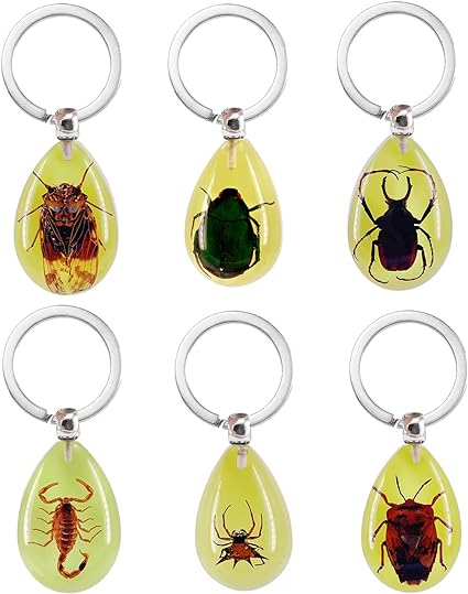 QTMY 6 Pack Insect in Resin Specimen Collection Luminous Glow in The Dark Keychain Keyring,Halloween Christmas Science Classroon Decor Kits Set Education