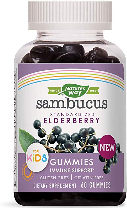 Nature's Way - Sambucus Standardized Elderberry for Kids - 60 Gummies
