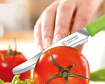 6 kitchen Knifes (Knives) - Italian Stainless Steel Vegetable/Steak/Table Knife Cutlery (Green)