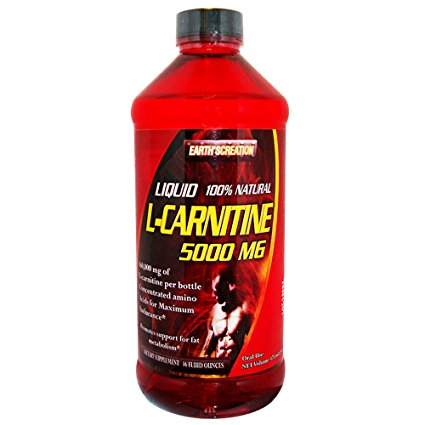 Earth's Creation Liquid L-Carnitine 5000MG & Vitamin B5 - Maximum Endurance - 16 oz Orange Flavor