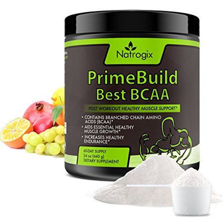 Natrogix 660g (24oz) Essential 3-in-1 Muscle Builder - Post Workout Recovery with BCAA, Creatine Monohydrate, and L-Glutamine Powder, 60 Servings