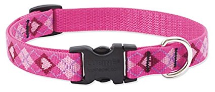 Lupine 3/4 Inch Puppy Love Adjustable Dog Collar for Small to Large Dogs