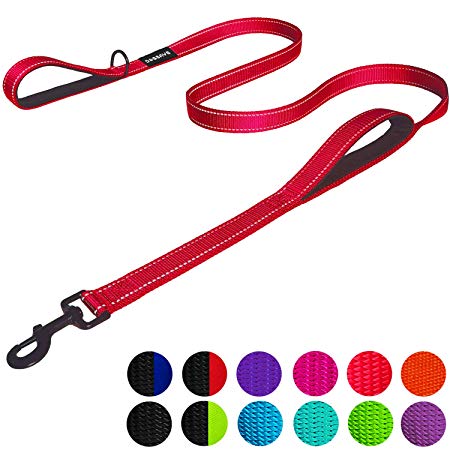 DOGSAYS Dog Leash 6ft Long - Traffic Padded Two Handle - Heavy Duty - Double Handles Lead for Training Control - 2 Handle Leashes for Large Dogs or Medium Dogs - Reflective Pet Leash Dual Handle