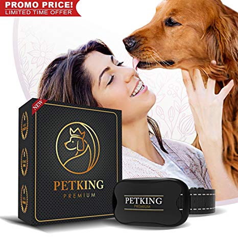 PETKING - Effective Anti Bark Dog Collar | Safe & Hummane No Barking Control Device to Stop Small Medium & Large Breeds | No Shock Spray or Aids | Best 2018 Anti-Barking Sound and Vibration Technology