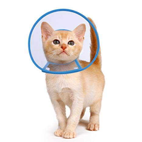 PETBABA Cat Cone Collar in Recovery, Clear Elizabethan Not Block Vision, Soft Padded E-collar Protect Neck, Suitable Kitten Puppy Dog Pet in Surgery Remedy Grooming - S in Blue