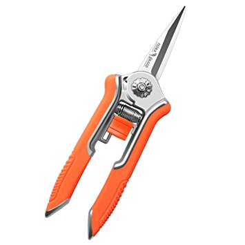 Flora Guard 6.5Inch Micro-Tip Pruning Snip Leaf Trimmer Gardening Hand Prunig Shear With Stainless Steel