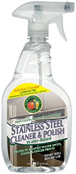 ECOS Stainless Steel Cleaner & Polish - 22 oz