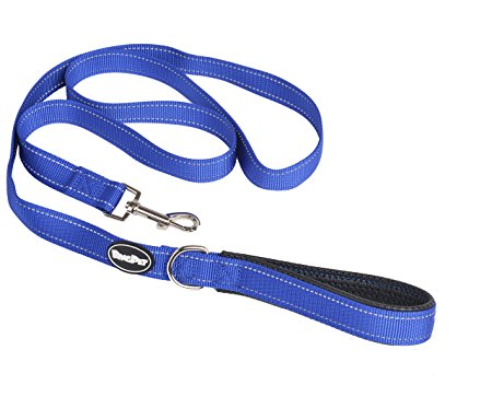 EXPAWLORER Reflective Dog Leash with Poop Bags