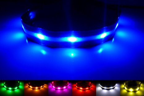 GoDoggie-GLOW - USB Rechargeable LED Dog Safety Collar - Improved Dog Visibility and Safety - 7 Colors and 5 Sizes - Super-Bright LEDs Glow and Flash - Connects to Devices to Recharge - No Batteries Required - Great Fun and Improved Dog Visibility and Safety