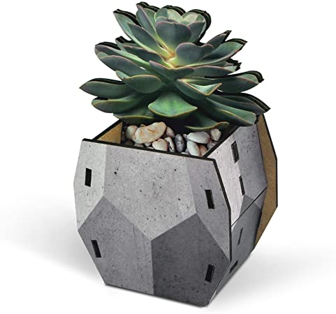 Fred Pop Plants - Echevarria - Pencil & Pen Holder