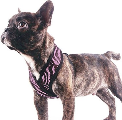 EXPAWLORER Choke Free Small Dog Vest X Frame Design with Soft Mesh, Puppy Adjustable Harness for Teacup Chihuahua Poodle Yorkshire Terrier