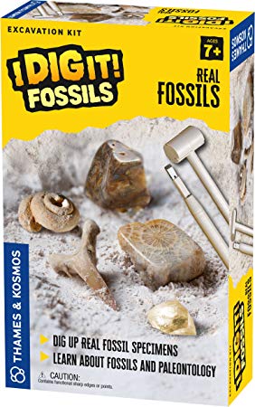 Thames & Kosmos I Dig It! Fossils Real Fossils Excavation Kit Science Experiment