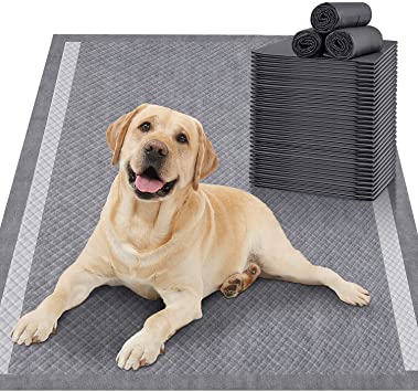 Gimars XL Thicker Heavy Absorbency Pet Training Puppy Pee Pads 28"x34"- Extra Large Disposable Polymer Quick Dry No Leaking Pee Pads for Dogs, Cats, Rabbits and Other House Training Pets