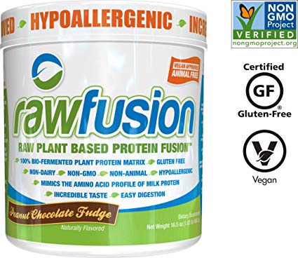 SAN Nutrition RawFusion Plant Protein Powder, Peanut Chocolate Fudge, 1 Pound