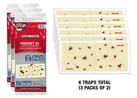 Catchmaster Cricket XL, Largest Cricket Trap Available (6 Pack)