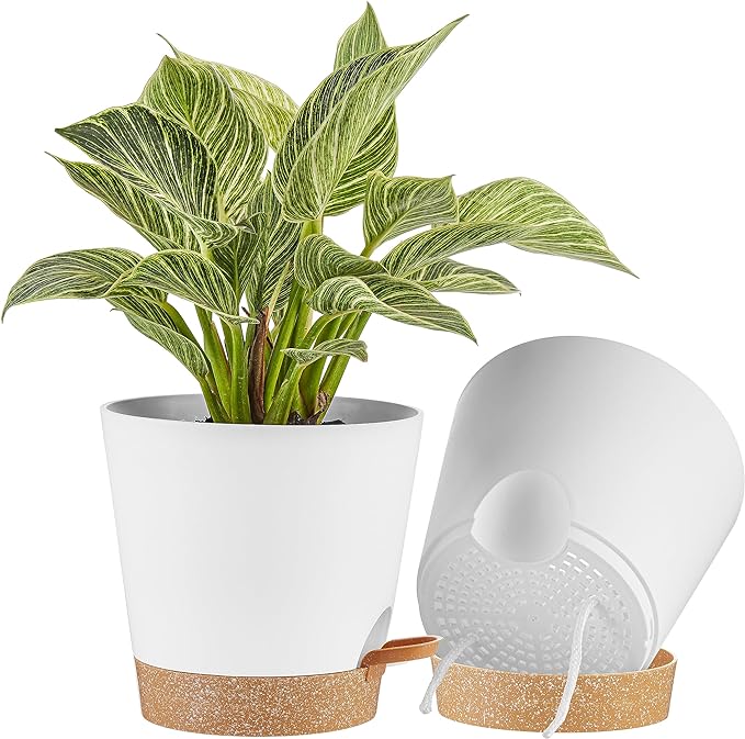 FaithLand 2-Pack 8 Inch Planter Pots for Indoor Outdoor Plants, Self Watering Flower Pots with Deep Reservoir, White with Terracotta …