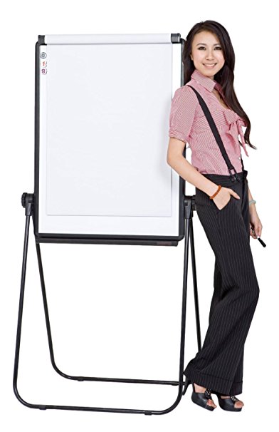 VIZ-PRO ECO Magnetic U-Stand Whiteboard/Flipchart Easel, 28 X 36 Inches, Black