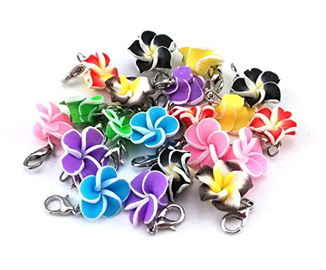 yueton 20pcs Assorted Color Frangipani Flower Dangle Charms Pendant with Lobster Clasp Jewelry Making Accessory Fit Floating Locket Charms Necklaces