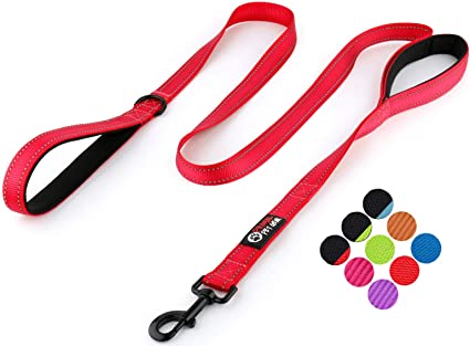 Primal Pet Gear Dog Leash 6ft Long - Traffic Padded Two Handle - Heavy Duty - Double Handles Lead for Control Safety Training - Leads for Large Dogs or Medium Dogs - Dual Handles Leashes (Red)