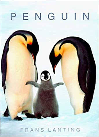 Penguin (Photobook)