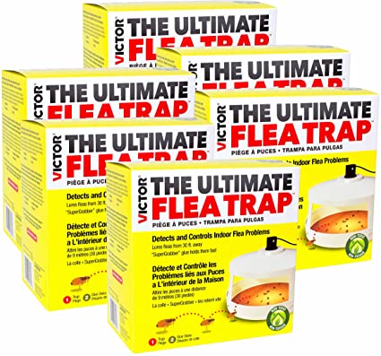 Victor Ultimate Flea Trap - 6 Total Traps M230A