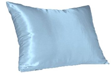 Luxury Satin Pillow Case (Queen, Blue)