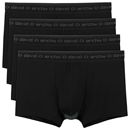 David Archy Men's Underwear Micro Modal Separate Pouches Fly Trunks 4 PACK