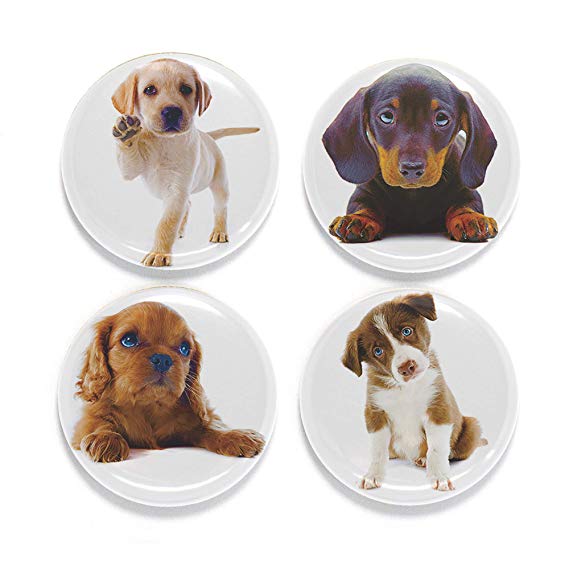 Buttonsmith Puppies Magnet Set - Set of 4 1.25" Magnets - Made in the USA