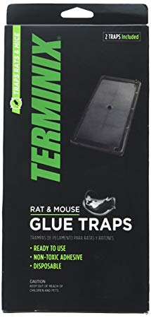 Terminix Rat T402 Rat & Mouse Glue Trap, 2 Pack