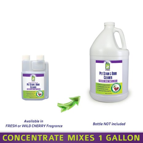 Doggone Pet Products® Pet Urine Stain & Odor Enzymatic Cleaner CONCENTRATE - Mixes 1 Gallon Of Ready To Use Solution. Permanently Cleans Vomit, Feces & Urine Off Carpet, Upholstery and Other Fabrics