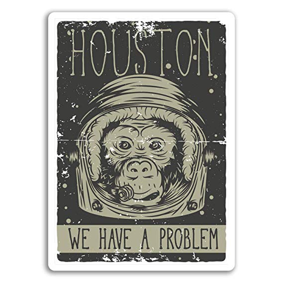 2 x 10cm Funny Space Monkey Vinyl Stickers - Houston Joke Sticker Luggage #17676 (10cm Tall)