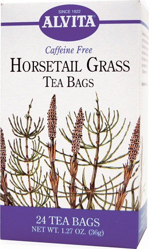 Alvita Caffeine Free Tea Horsetail Grass -- 24 Tea Bags