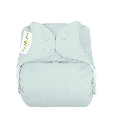 bumGenius Freetime All-in-One One-Size Snap Closure Cloth Diaper (Sweet)