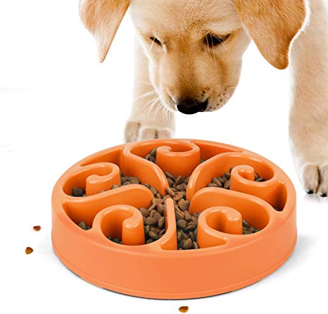 JASGOOD Slow Feeder Dog Bowl New Arriving Fun Feeder Slow Feeding Interactive Bloat Stop Dog Bowls