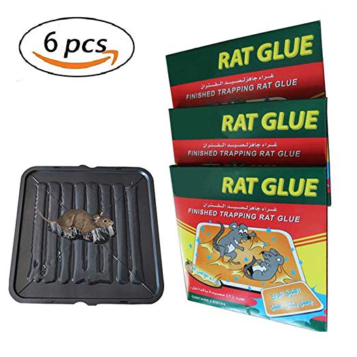 Sam4shine Large-Sized(10.3" 10.3") Rat Glue Traps, Strong Adhesive Glue Trap for Rat, Mouse, Mice, Snake, Rodents, Pest, Insect(3 Pack/6 Traps)