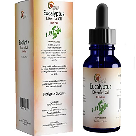 Pure Eucalyptus Essential Oil (Globulus) - 100% Natural & Therapeutic Grade - Bath, Cold, Sinus and Aromatherapy Benefits - 1oz - Money-back Guaranteed By Maple Holistics