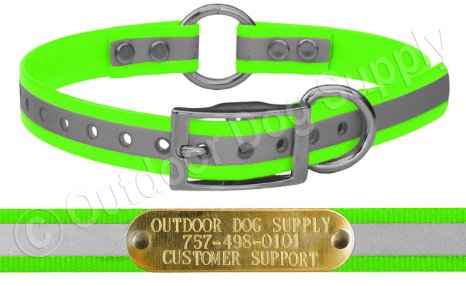 Outdoor Dog Supply's 3/4" Wide Reflective Ring in Center Dog Collar Strap with Custom Brass Name Plate