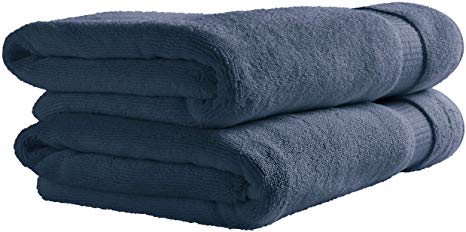 Rivet HygroCotton Cotton Bath Towels, Set of 2, Ocean Blue