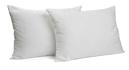 Gel Fiber Queen Pillow 2 Pack - Hypoallergenic, Extra Plush Down Alternative Bed Pillows - .4 Micro Denier Fill with Microfiber Fabric Shell - Crafted in USA by Deluxe Home- (Extra Soft Value 2-Pack)