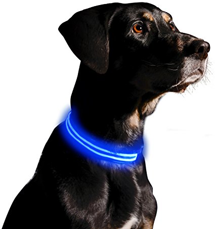 LED Dog Collar - USB Rechargeable - Available in 6 Colors & 6 Sizes - Makes Your Dog Visible, Safe & Seen