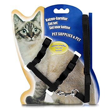 ONSON Cat Harness Leash, Adjustable H harness Nylon Strap Collar with Leash, Dogs Leash and Harness Set, For Small Cat and Pet Walking